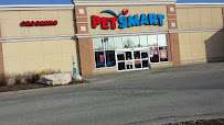 PetSmart - Photo 9 - Car repair in Windsor, ON, Canada, Detroit