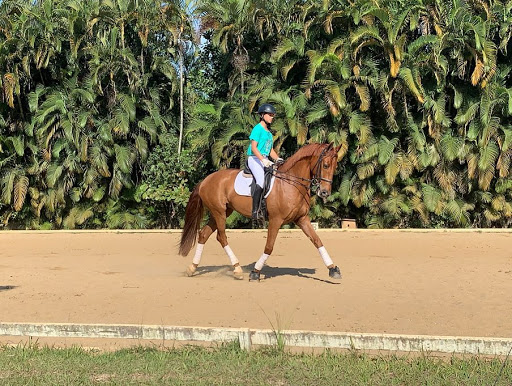 Escola de Equitação Haras Pegasus - Equipe Alejandra Fernandez