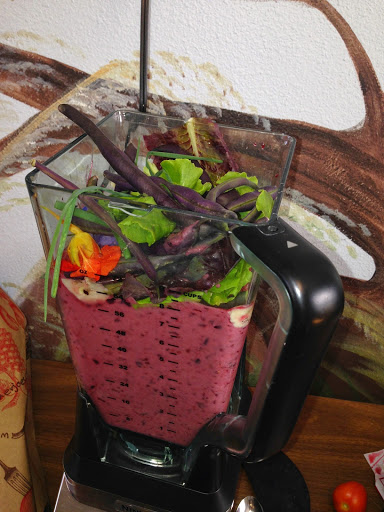 Camp «Creative Roots», reviews and photos, 2661 NW Thurman St, Portland, OR 97210, USA