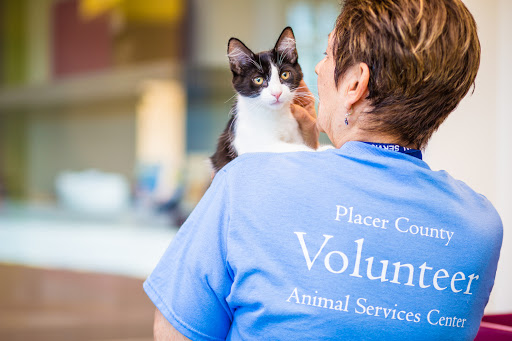 Placer County Animal Services Center image