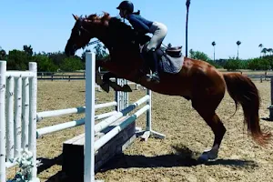 Hegewisch Stables | Horseback Riding Lessons, Hunter-Jumper Training & Camps image