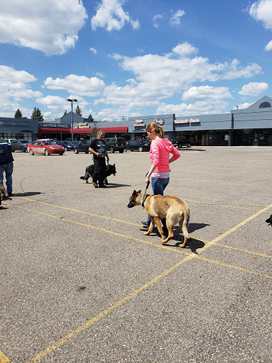 Pet Store «Feed Rite Pet Shop & Supply», reviews and photos, 11760 Belleville Rd, Belleville, MI 48111, USA