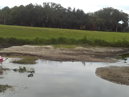 Park «Cliff Stephens Park», reviews and photos, 600 Fairwood Ave, Clearwater, FL 33759, USA