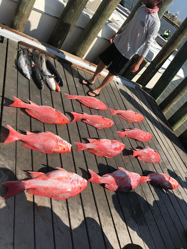 Fishing Charter «Epic Charters Unlimited, LLC», reviews and photos, 1011 Casko Rd, Freeport, TX 77541, USA