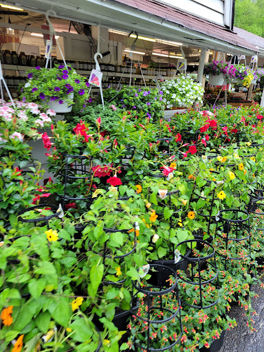 Grocery Store «Red Top Farm Market», reviews and photos, 1801 NJ-70, Southampton Township, NJ 08088, USA