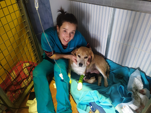 Veterinaria Sunka en Mataelpino