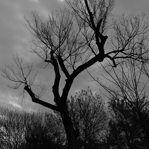 Park «Hoblitzelle Park», reviews and photos, 7500 Red River Dr, Plano, TX 75025, USA