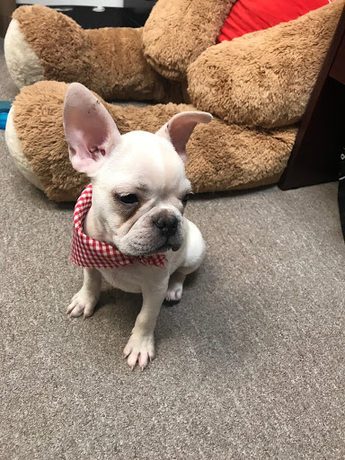 Insurance Agency «Crystal Martinez - State Farm Insurance Agent», reviews and photos