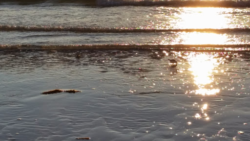 Park «Goodwill Park», reviews and photos, 416 Green St, Holliston, MA 02540, USA