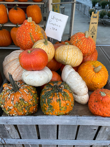 Produce Market «E Draghi & Son Farm Stand», reviews and photos, 86 Main St, South Glastonbury, CT 06073, USA