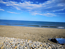 Foto von Plage des Aresquiers mit lange, gerade küste