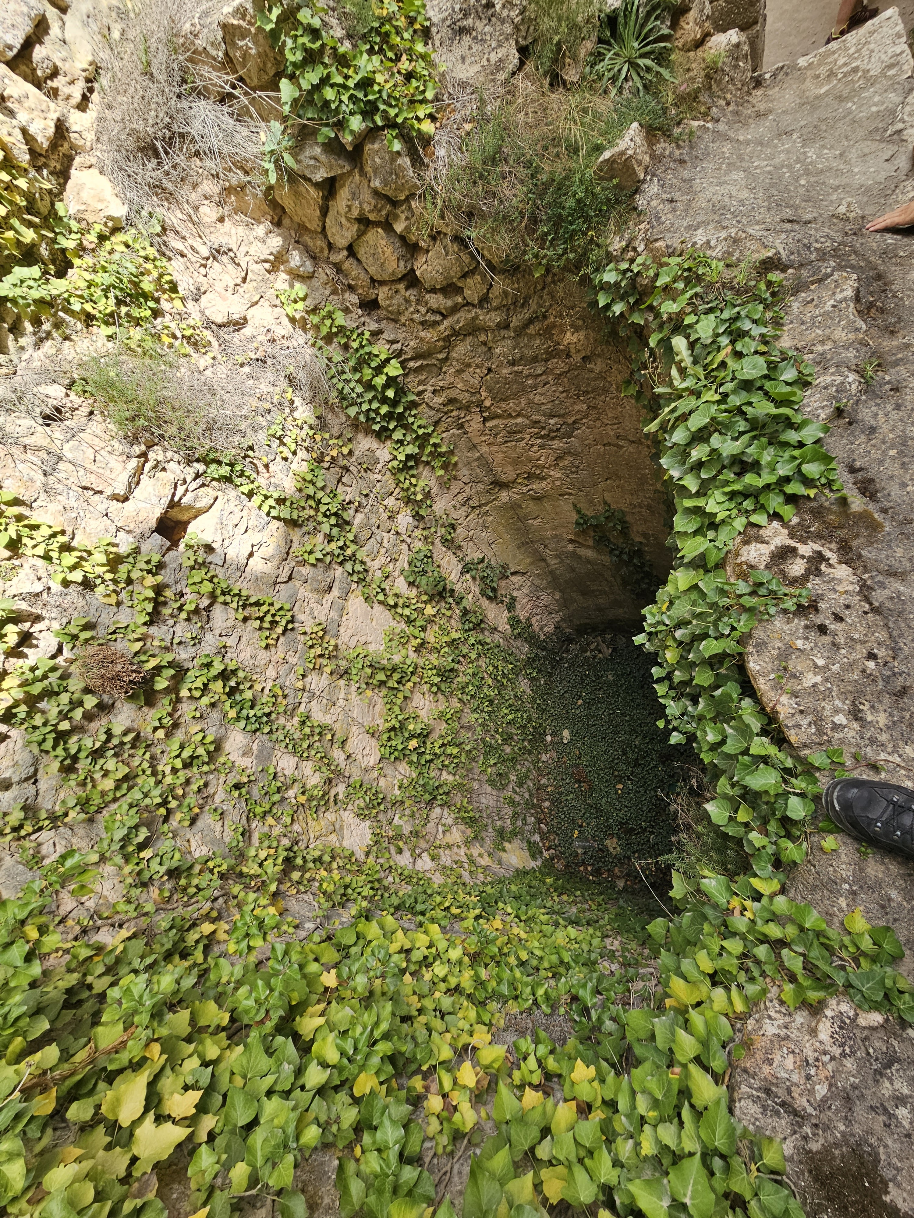 Photo n° 12 de l'avis de Kaddiern.a fait le 06/09/2023 à 16:37