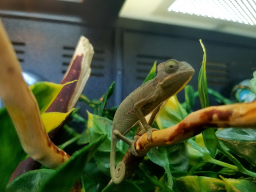 Pet Supply Store «PetSmart», reviews and photos, 170 Marketplace Blvd, Hamilton Township, NJ 08691, USA