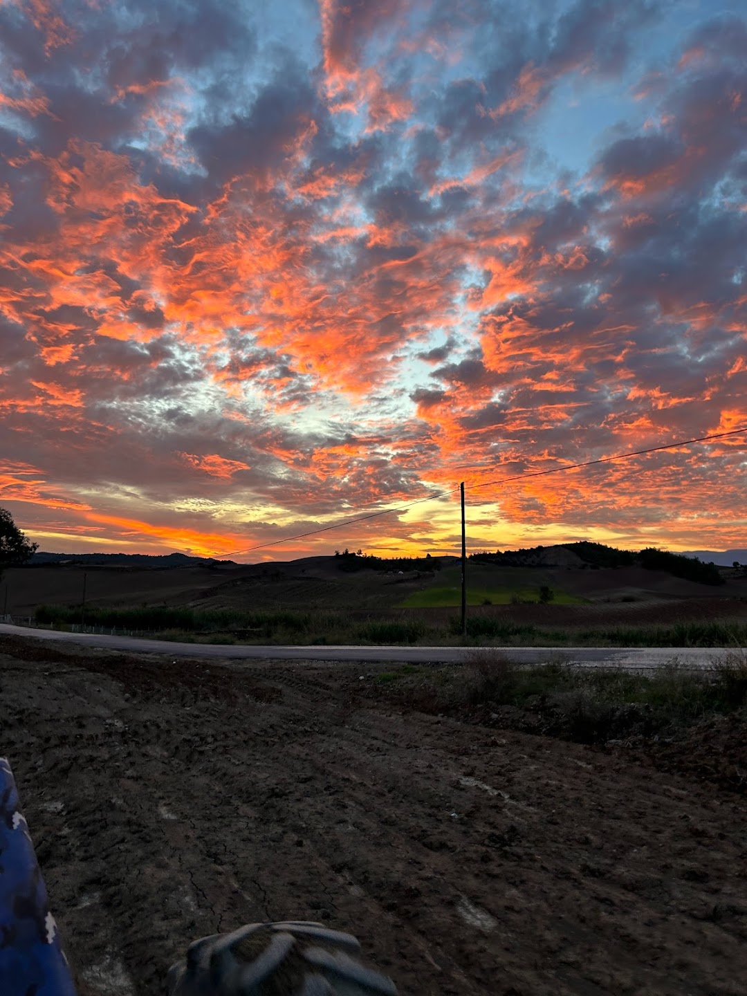 Genç Tarım Aile İşletmesi