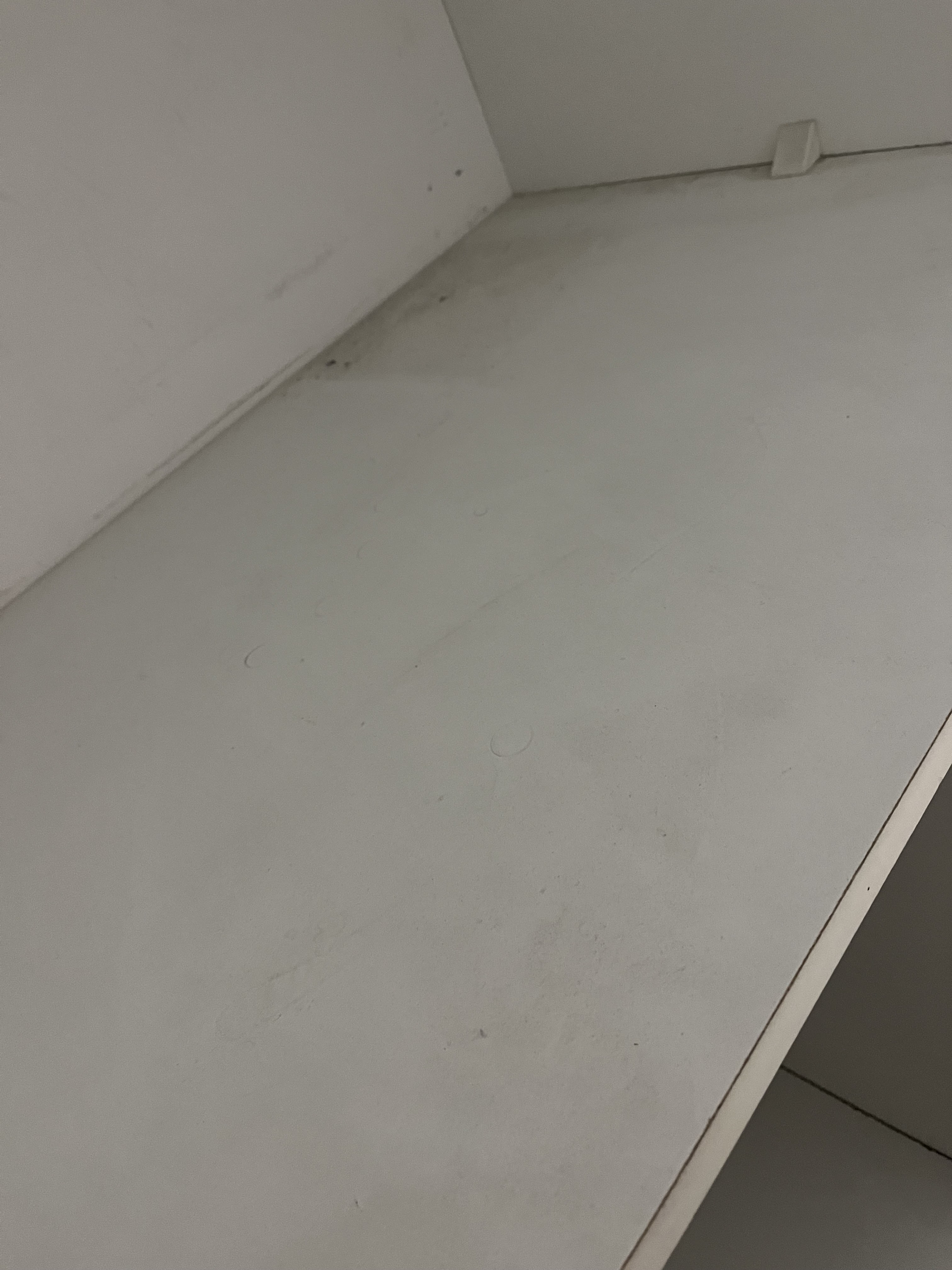 Photo n° 3 de l'avis de fanny.a fait le 16/12/2023 à 13:57
