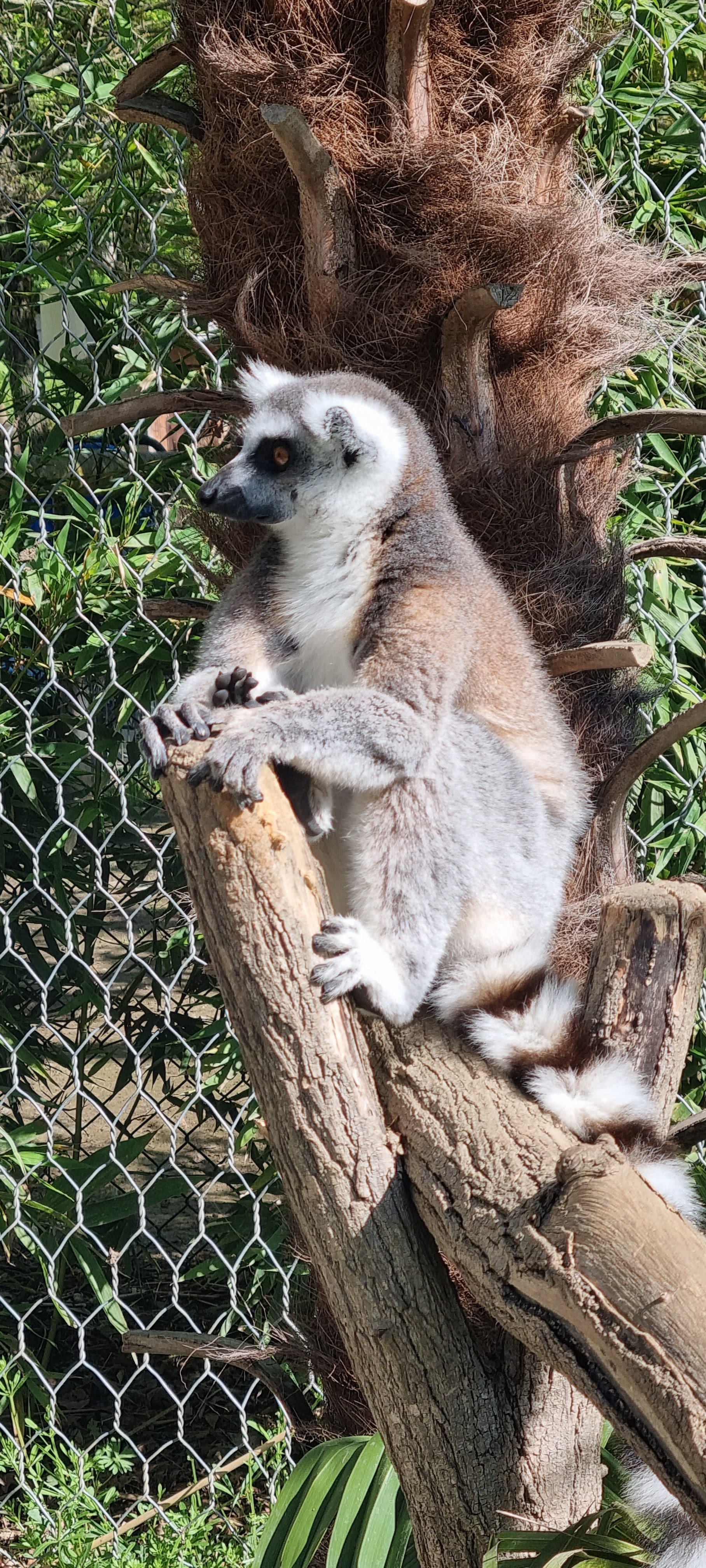 Photo n° 39 de l'avis de Anne.a fait le 25/04/2022 à 13:04