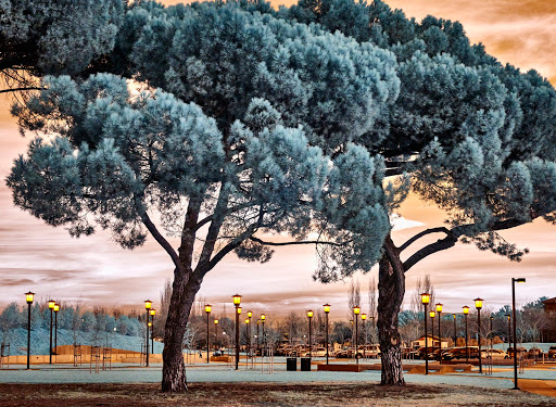 Emerald Glen Park image