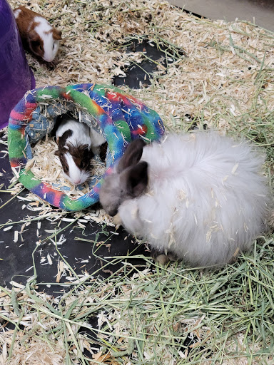 Pet Store «Pet Land», reviews and photos, 1450 Fort Campbell Blvd, Clarksville, TN 37042, USA