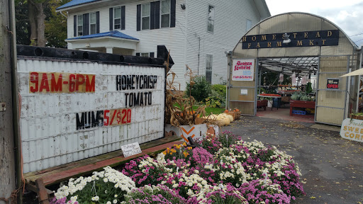 Maiers Homestead Farm Market, 5672 E Avon Lima Rd, Avon, NY 14414, USA, 