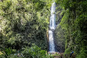 Cassorova EcoParque image