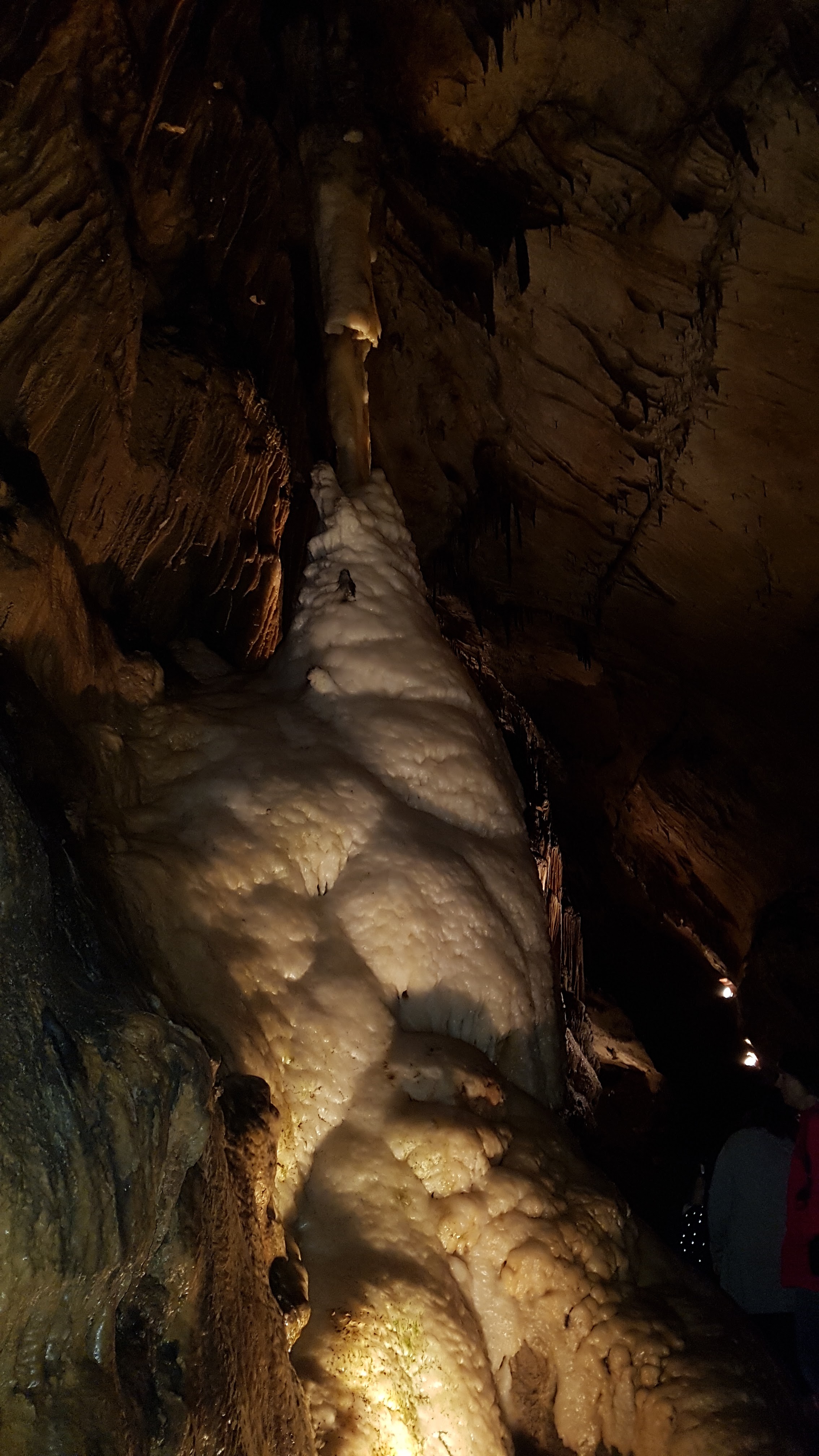 Photo n° 9 de l'avis de delphine.l fait le 25/08/2018 à 12:52
