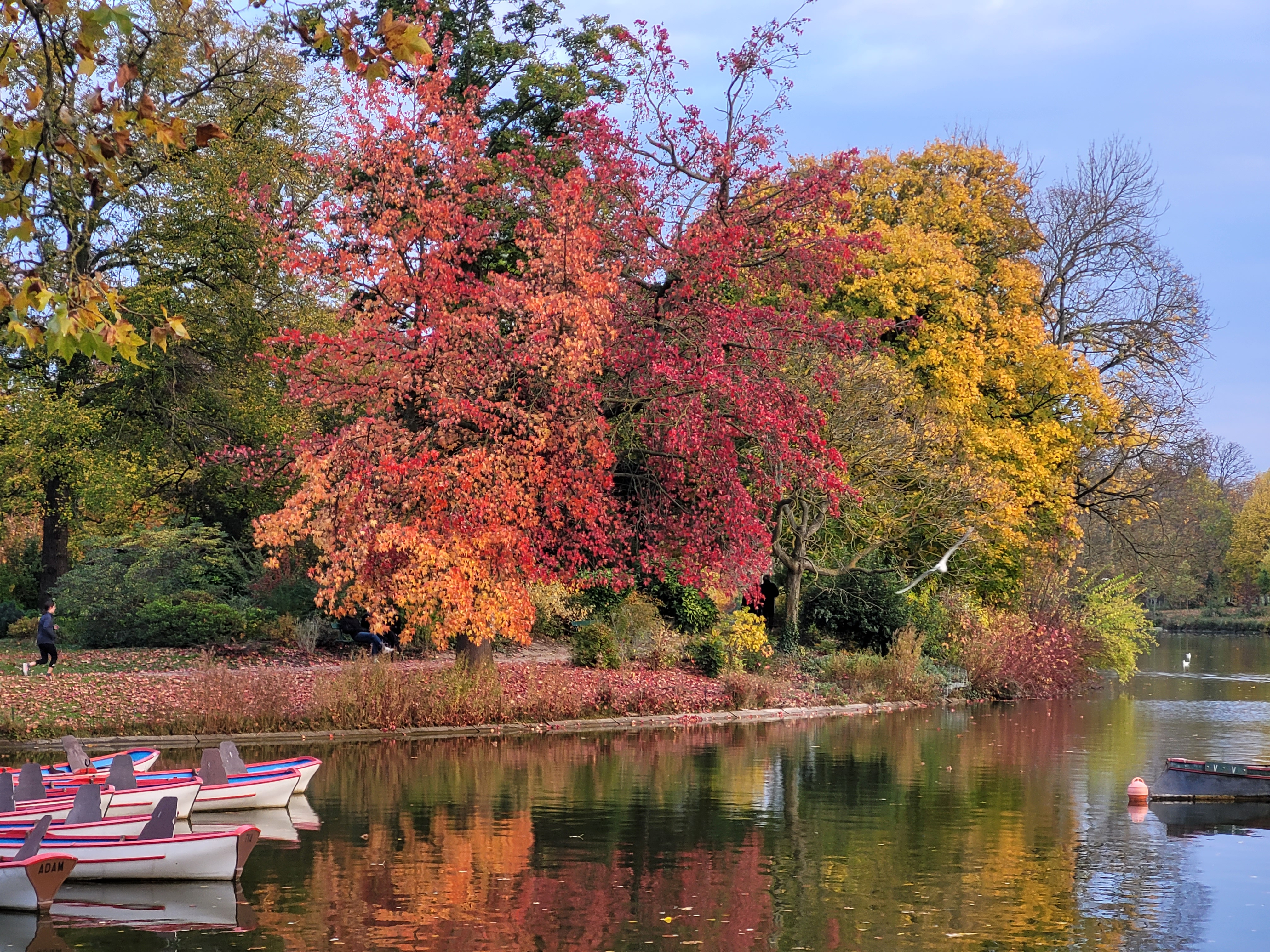 Photo n° 15 de l'avis de ernest.o fait le 17/08/2018 à 17:20
