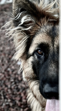 Contract Photography - Photo 2 - Car repair in , Phoenix