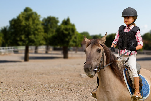 Riding schools in Belgrade