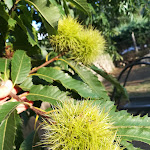 Photo n°2 de l'avis de Olha.y fait le 06/10/2019 à 06:17 sur le  La Rosa dei Venti à Traugnano