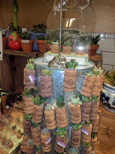 Shopping Mall «Pleasant Shops», reviews and photos, 35 Pleasant St, South Weymouth, MA 02190, USA