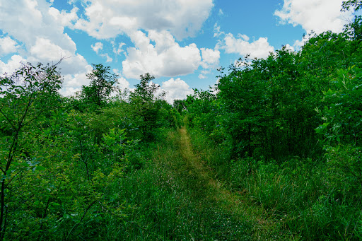 Nature Preserve «Burnett Woods», reviews and photos, 8264 E County Rd 100 S, Avon, IN 46123, USA