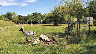 Ferme des Iris à Lormont