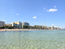 Photo de Pane e Pomodoro Beach et le règlement