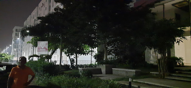 Google Maps image 20