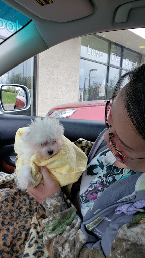 Pet Supply Store «Just Pets», reviews and photos, 8874 Maximus Dr, Lone Tree, CO 80124, USA