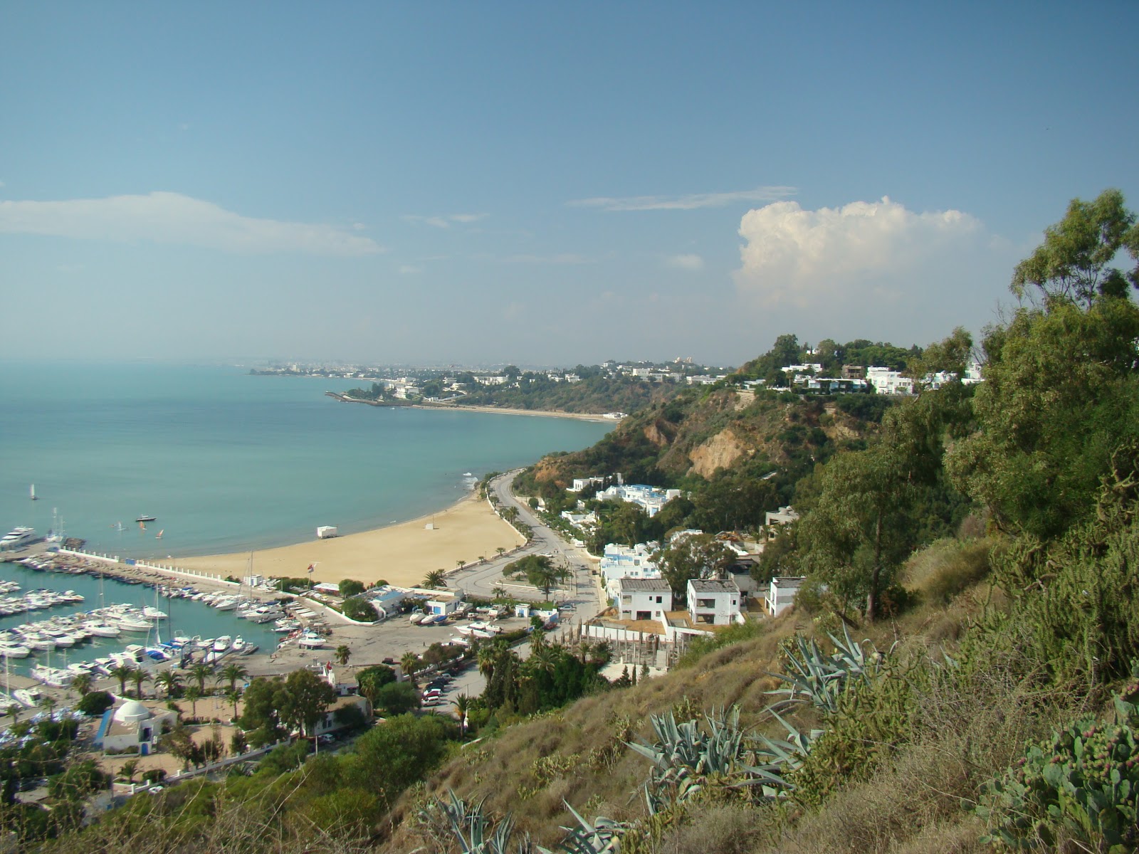 Sidi Bou Said Beach photo #8