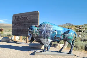 Antelope Island State Park image