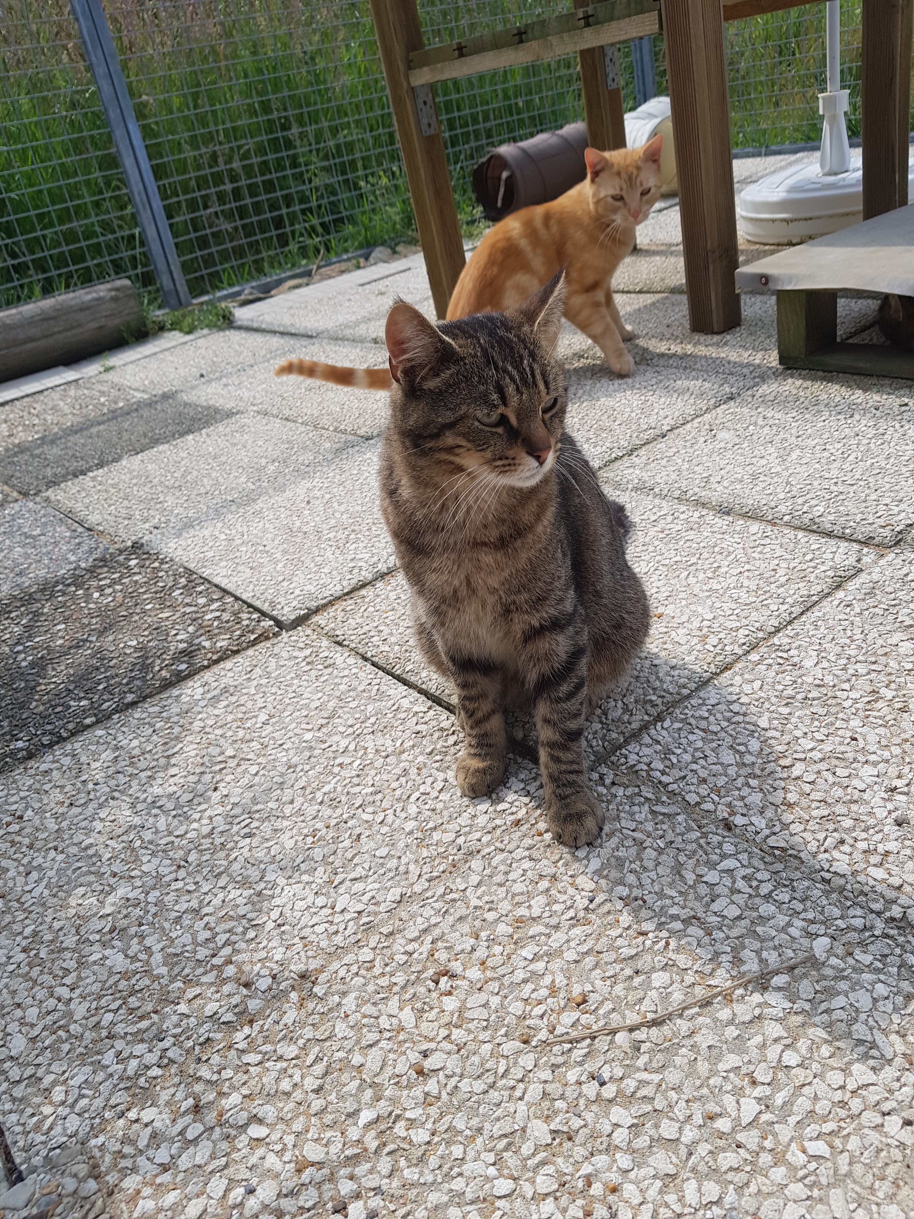 Photo n° 2 de l'avis de Karine.e fait le 11/06/2019 à 20:44