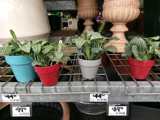 Shopping Mall «Watson Glen Shopping Center», reviews and photos, 209 S Royal Oaks Blvd, Franklin, TN 37064, USA