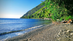 Foto von Dafni of Evia beach mit geräumige bucht