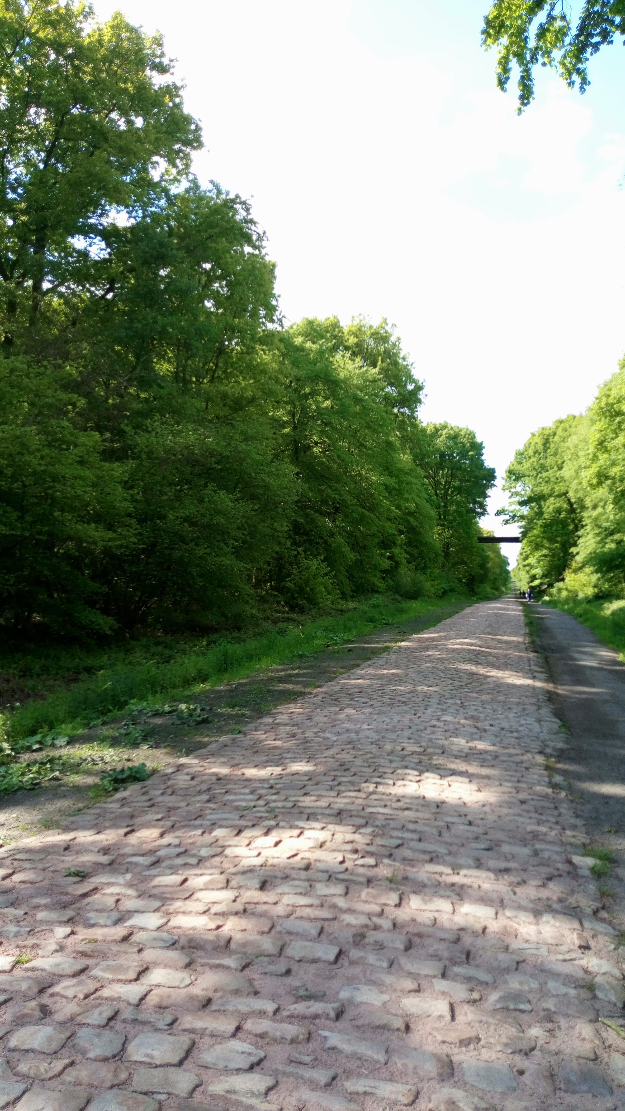 Photo n° 2 de l'avis de Steph.e fait le 12/05/2019 à 20:15