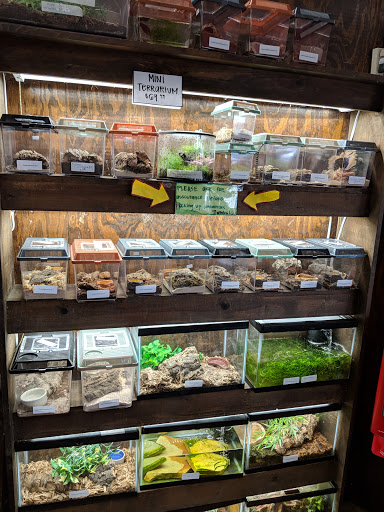 Pet Store «Zookeeper Exotics», reviews and photos, 9012 Research Blvd, Austin, TX 78758, USA
