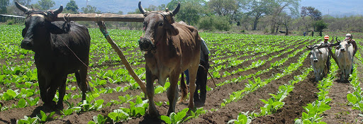 Tobacco Shop «82nd Avenue Tobacco & Pipe Ltd», reviews and photos, 400 SE 82nd Ave, Portland, OR 97216, USA