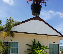 Sabai Resort photo