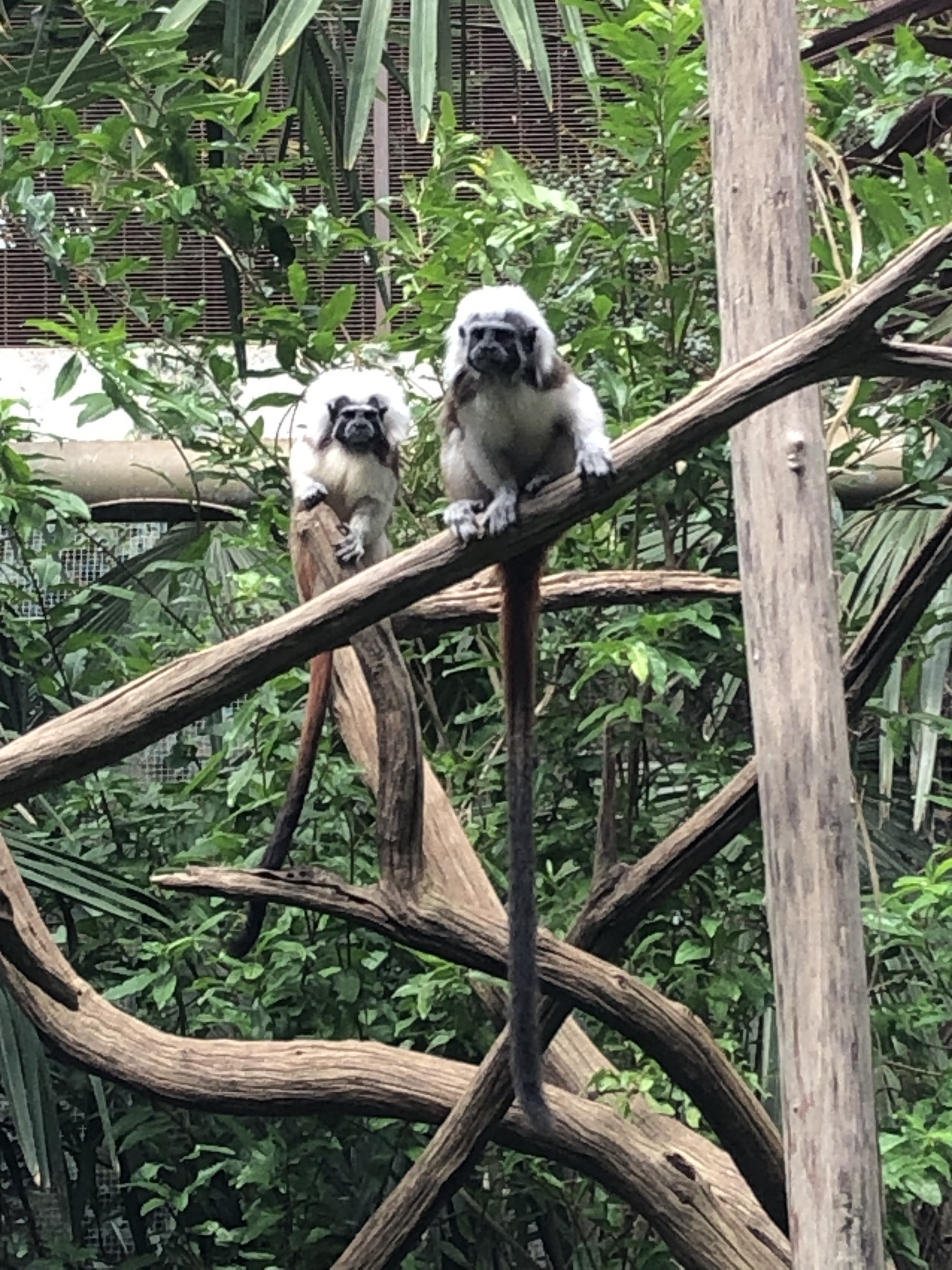 Photo n° 14 de l'avis de yanka.a fait le 20/08/2023 à 10:52