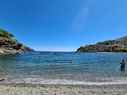 Photo de Platja de Portbou et le règlement