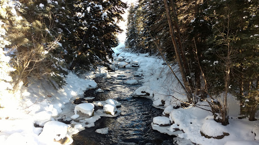 Wedding Venue «Donovan Pavilion», reviews and photos, 1600 S Frontage Rd W, Vail, CO 81657, USA