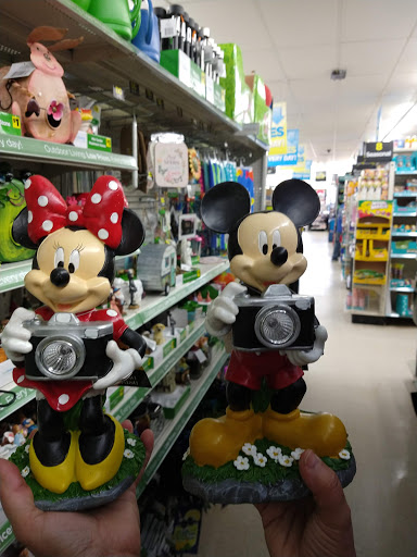 Discount Store «Dollar General», reviews and photos, 421 Brooks St, Wake Forest, NC 27587, USA