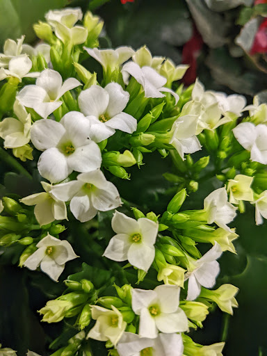 Supermarket «Big Y», reviews and photos, 1040 Elm St, Rocky Hill, CT 06067, USA