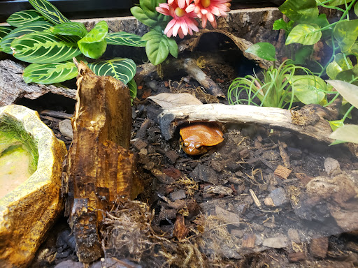 Zoo «Lake Superior Zoo», reviews and photos, 7210 Fremont St, Duluth, MN 55807, USA